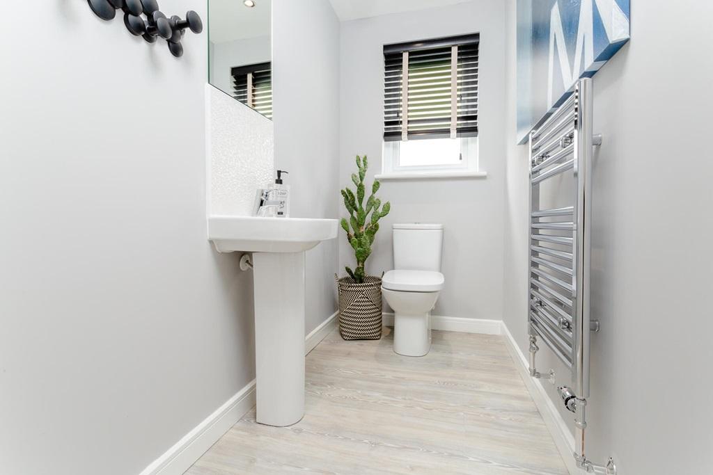 Convenient downstairs toilet