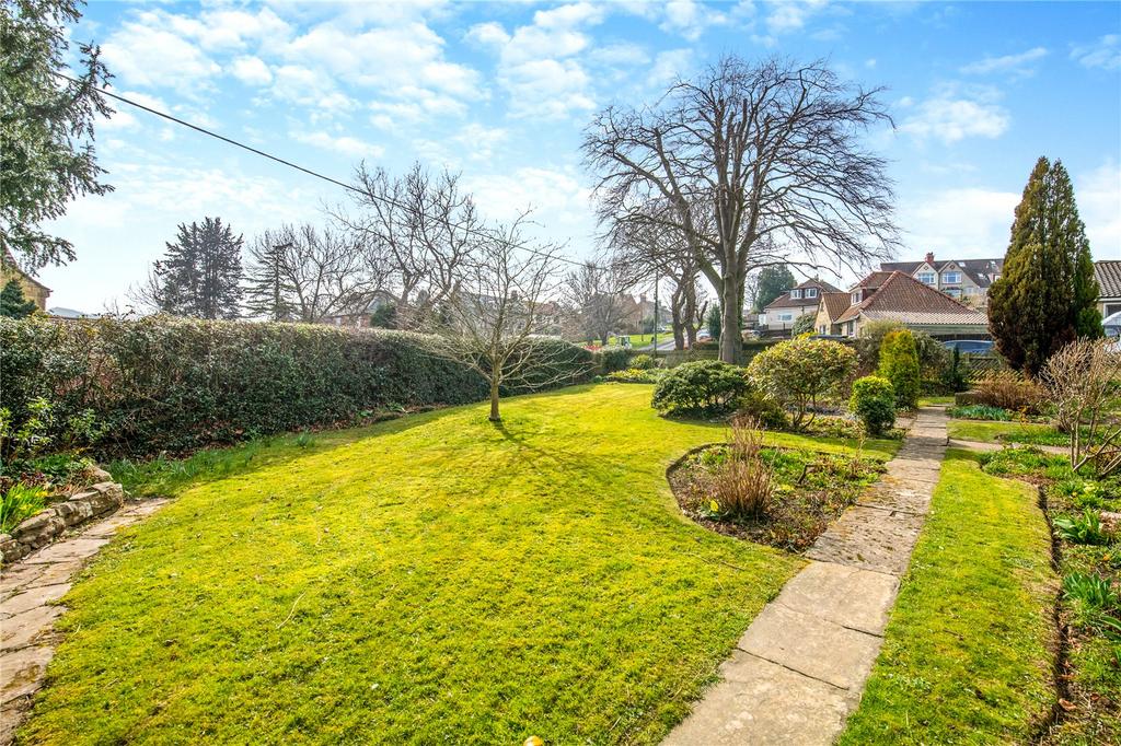 Side Lawn