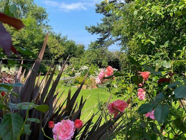 Private Garden