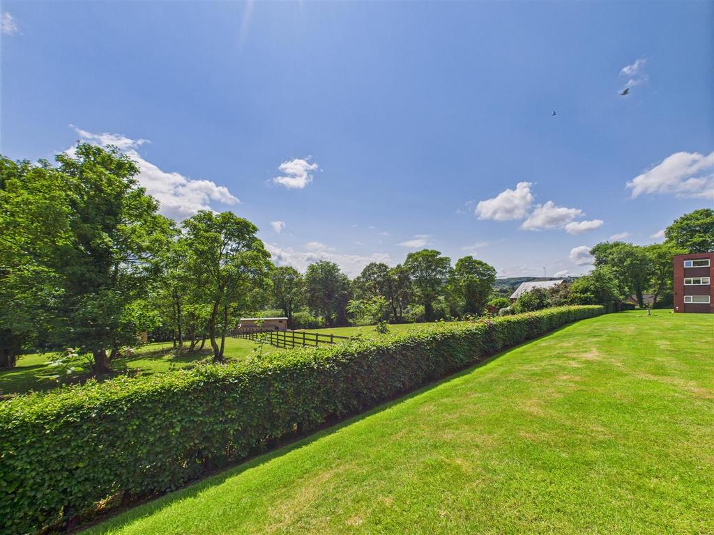 CAM02739 G0-PR0253-STILL011.jpg
