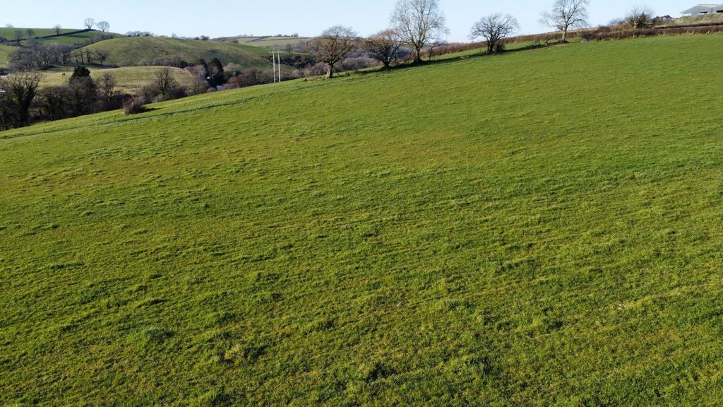Land