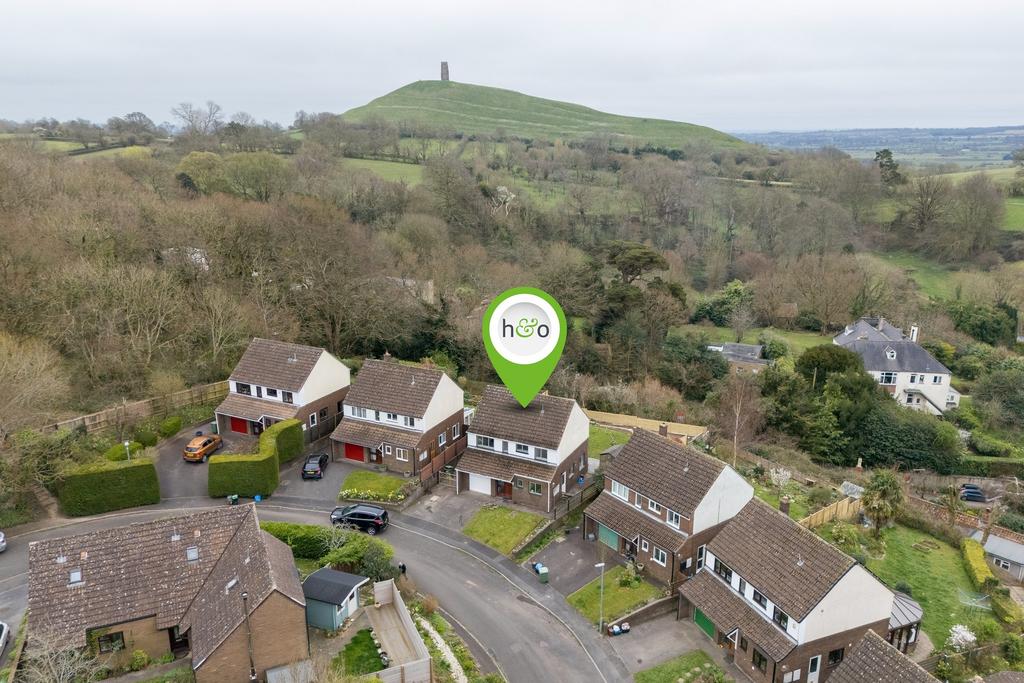 View with Glastonbury Tor.jpeg