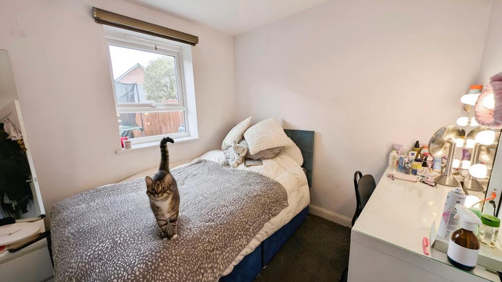 62c2255c-PXL 20250311 145349073.jpg