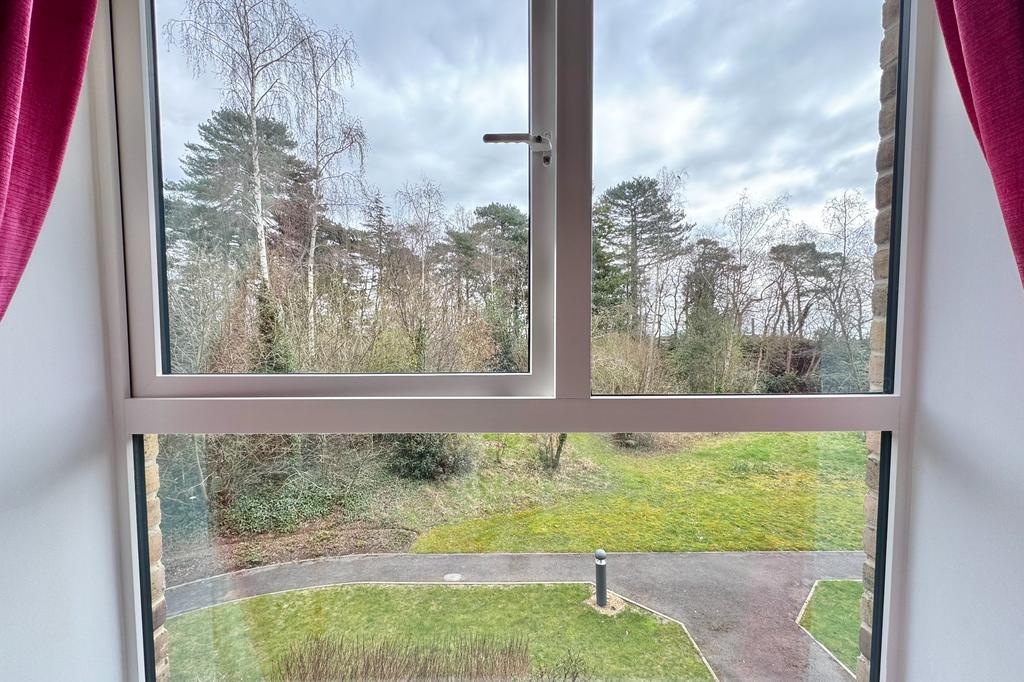 Outlook from Bedroom