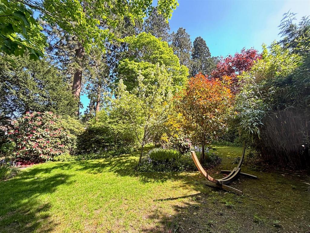 Garden2.jpg