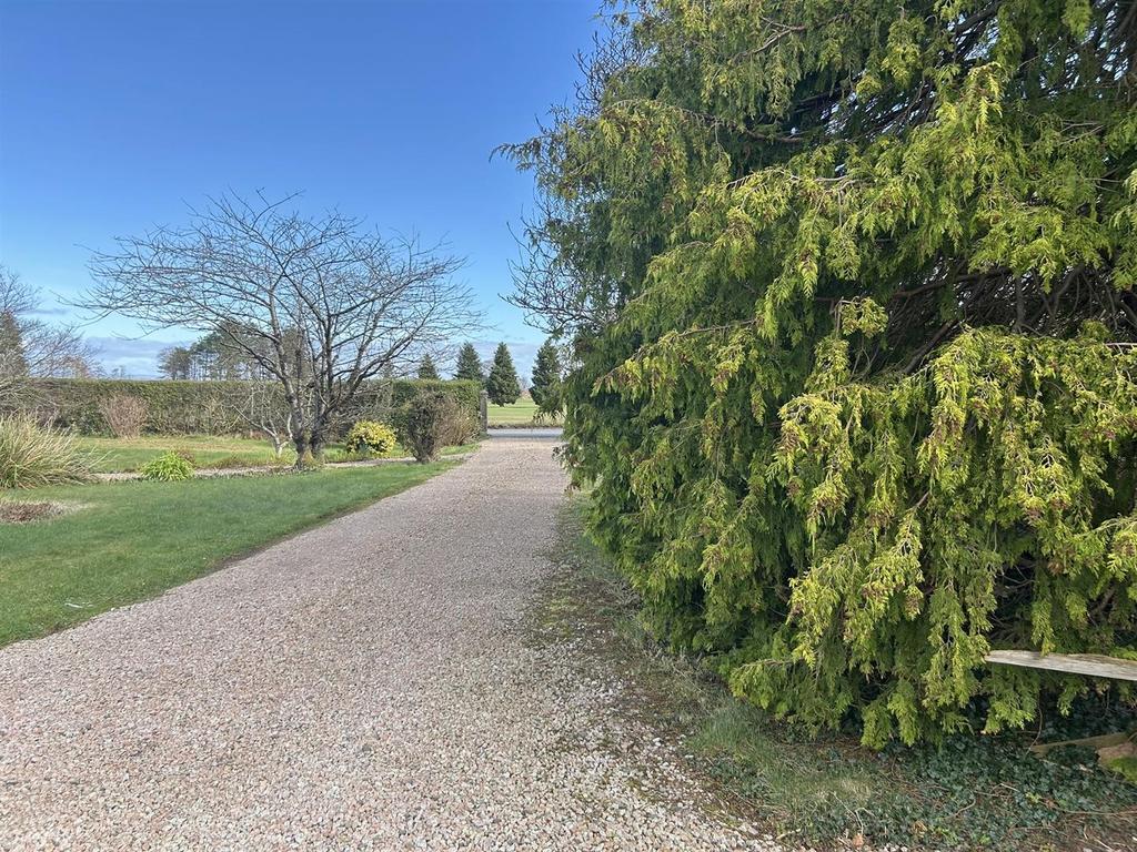 Shared driveway