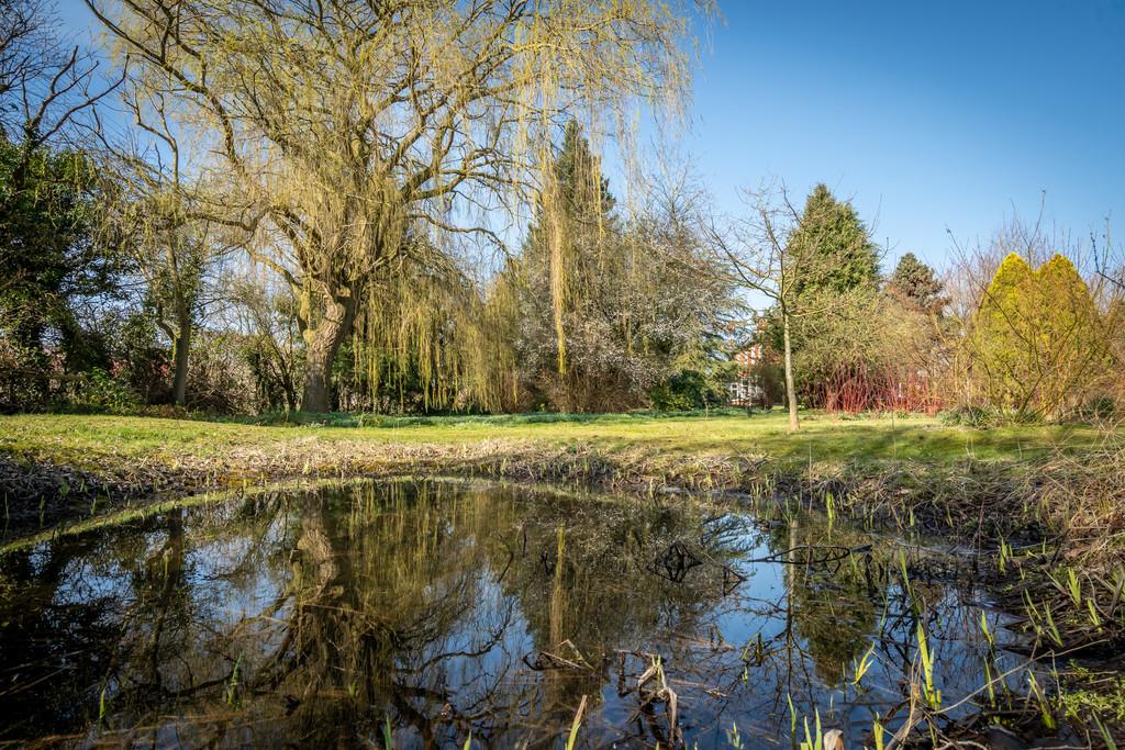 Beechwood barmby moor-54