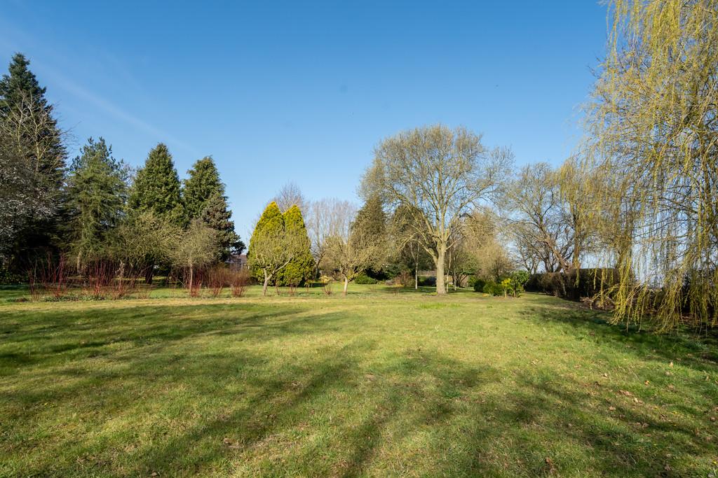 Beechwood barmby moor-53