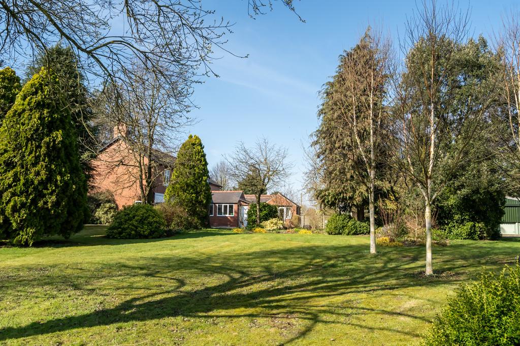 Beechwood barmby moor-52