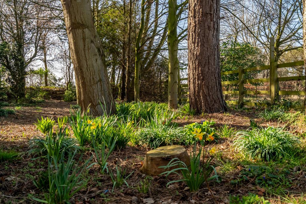 Beechwood barmby moor-41