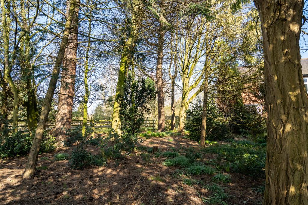 Beechwood barmby moor-39