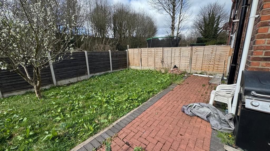 Whats App Image 2025-03-28 at 1.18.27 PM (4)