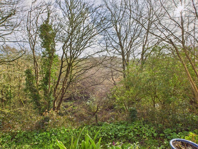 Wooded view