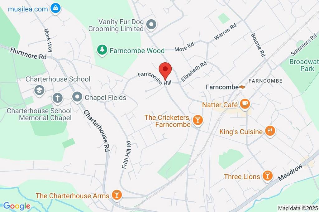 Google Maps Image