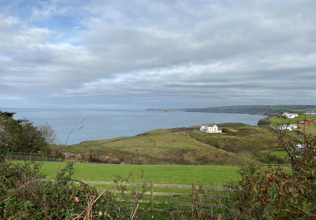 67e5145bf26ce Doon-Williams-Oyster-Bay-Port-Isaac