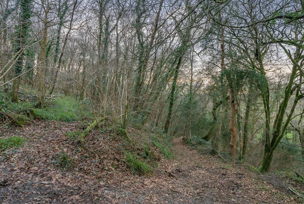 Woods (Separate Negotiation)