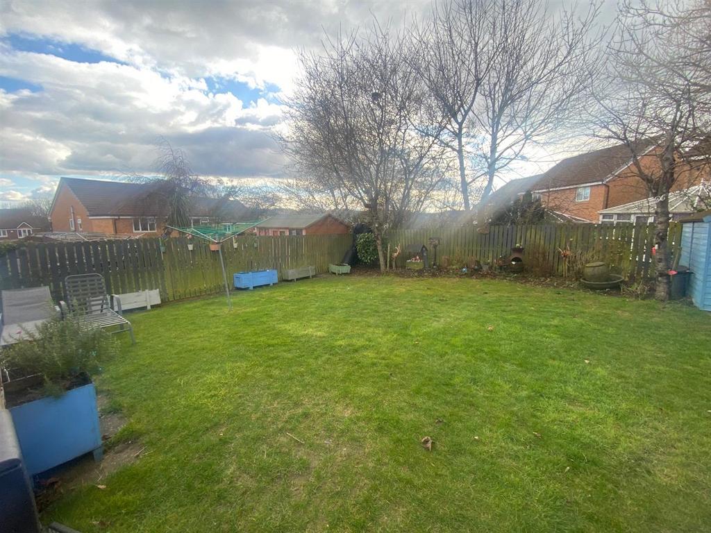 BACK GARDEN.jpg