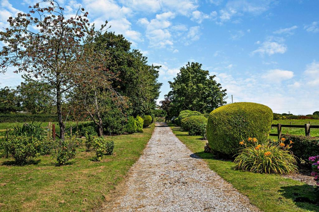 Driveway
