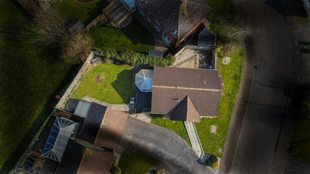 Dji fly 20250324 131750 189 1742822462270 photo op