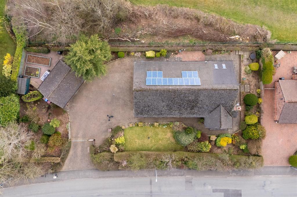 DJI 20250328142100 0121 D.jpg