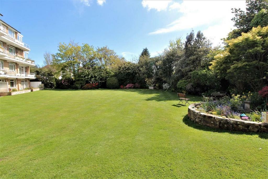 PZi Vy FTYUUWJ7 Nfz RQd5 A.jpg