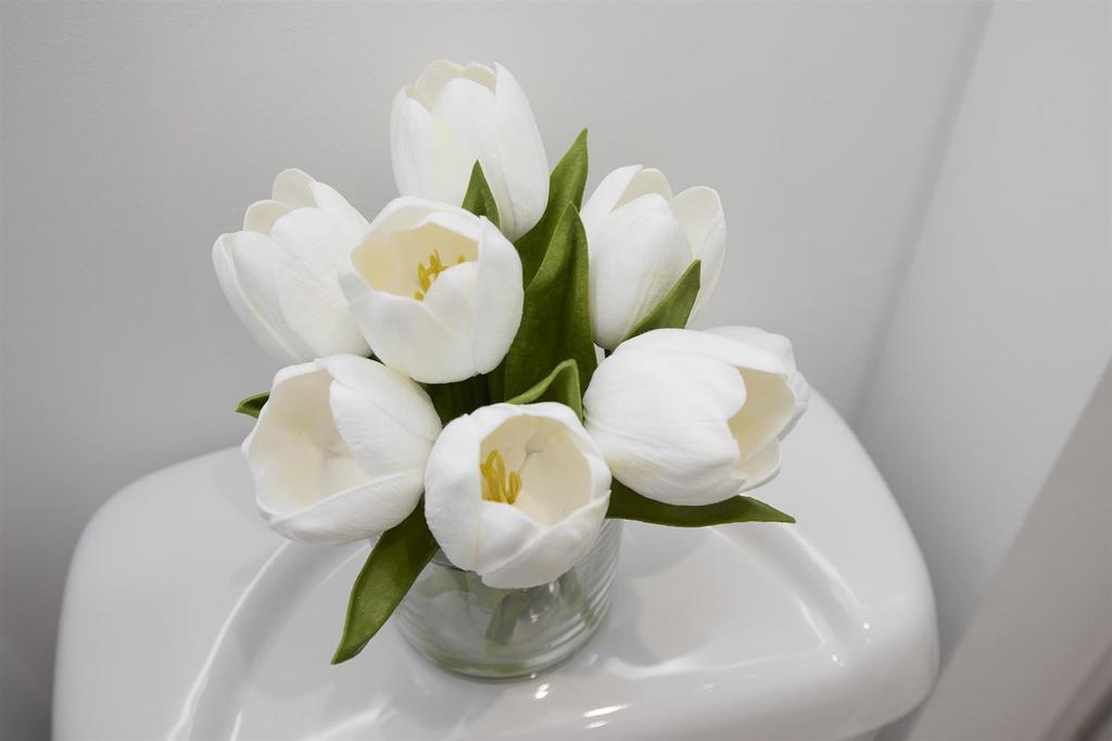 6 P1 A6345.jpg