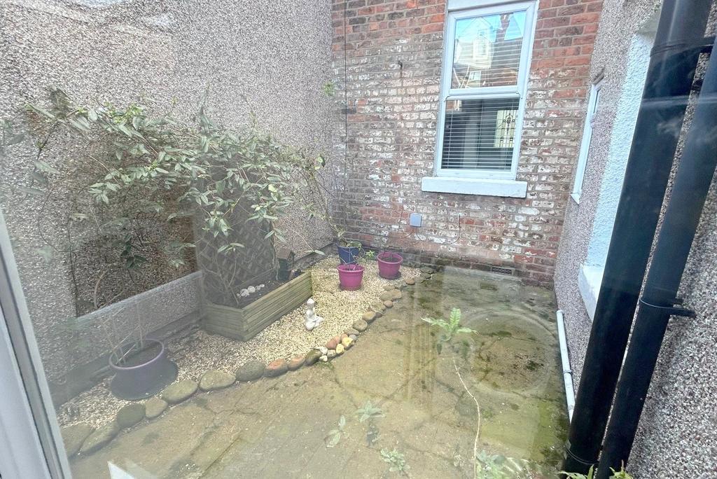 Rear Yard