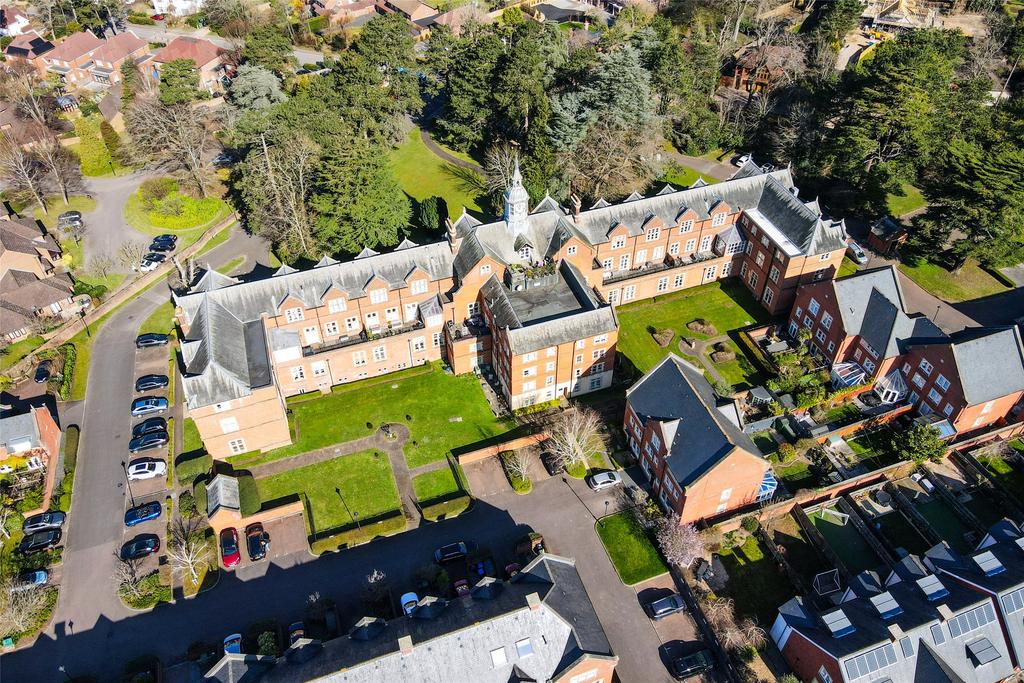Aerial Shot