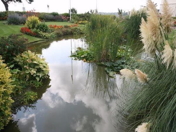 Garden.jpg