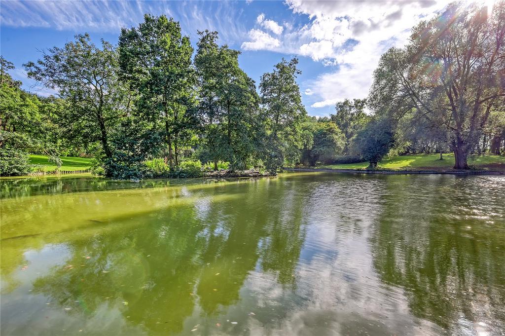 Pond