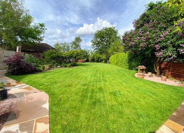Garden photo 3.jpg