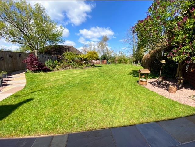 Garden photo 1.jpg