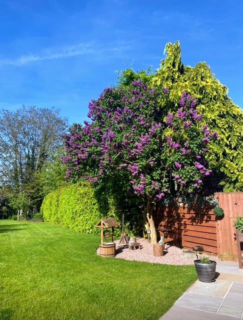 Garden photo 2.jpg