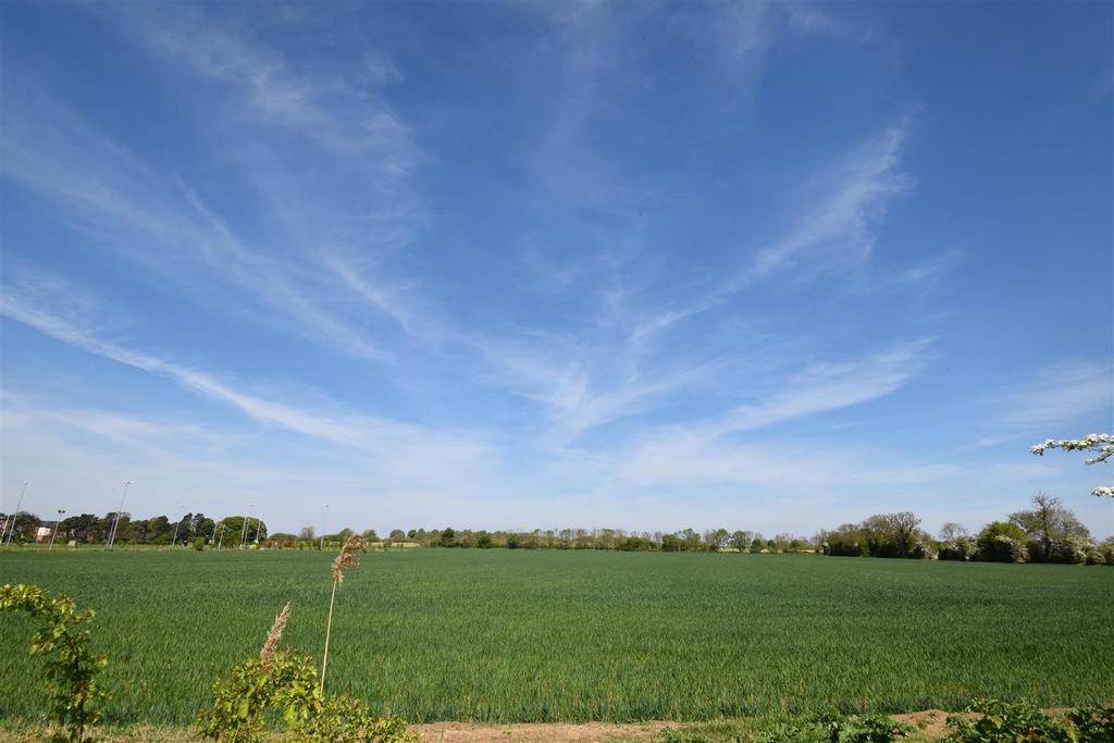 Dsc 0052.jpg