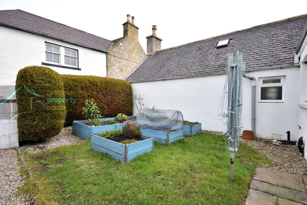 Garden 2 .JPG