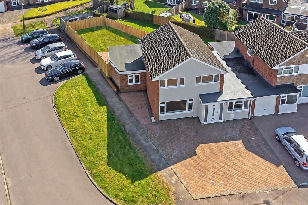 4 Hornbeams-1.jpg