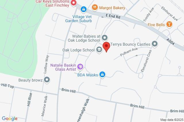 Google Maps Image