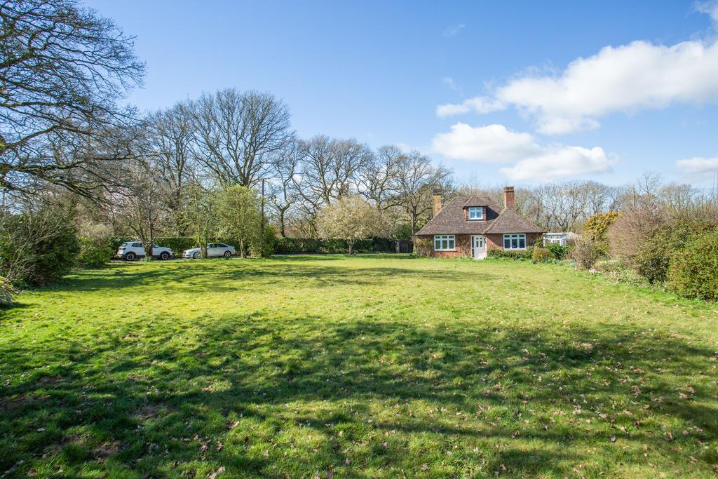 Picture 33