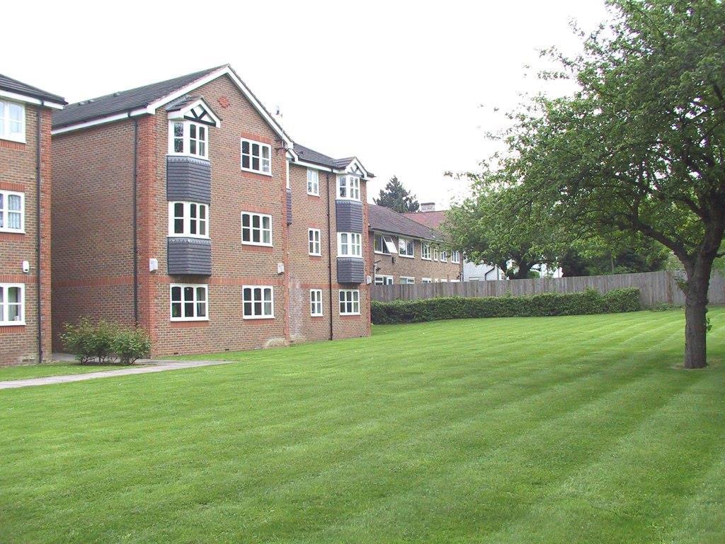 Blenheim rear green.jpg