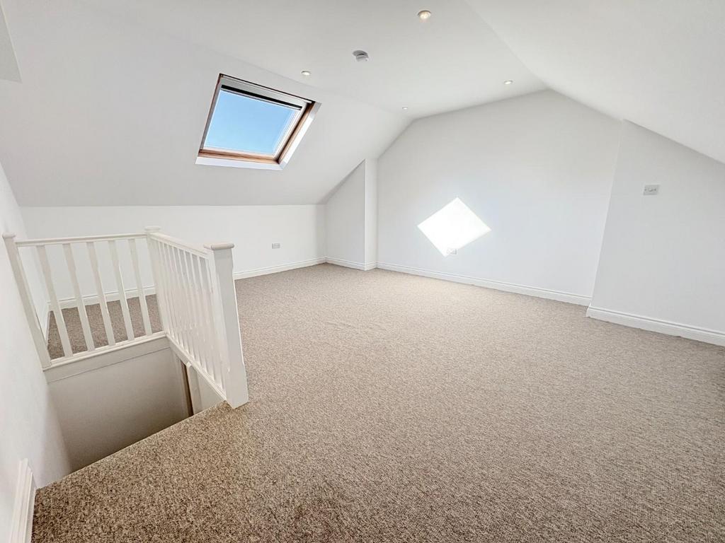 Attic 1.1.jpeg