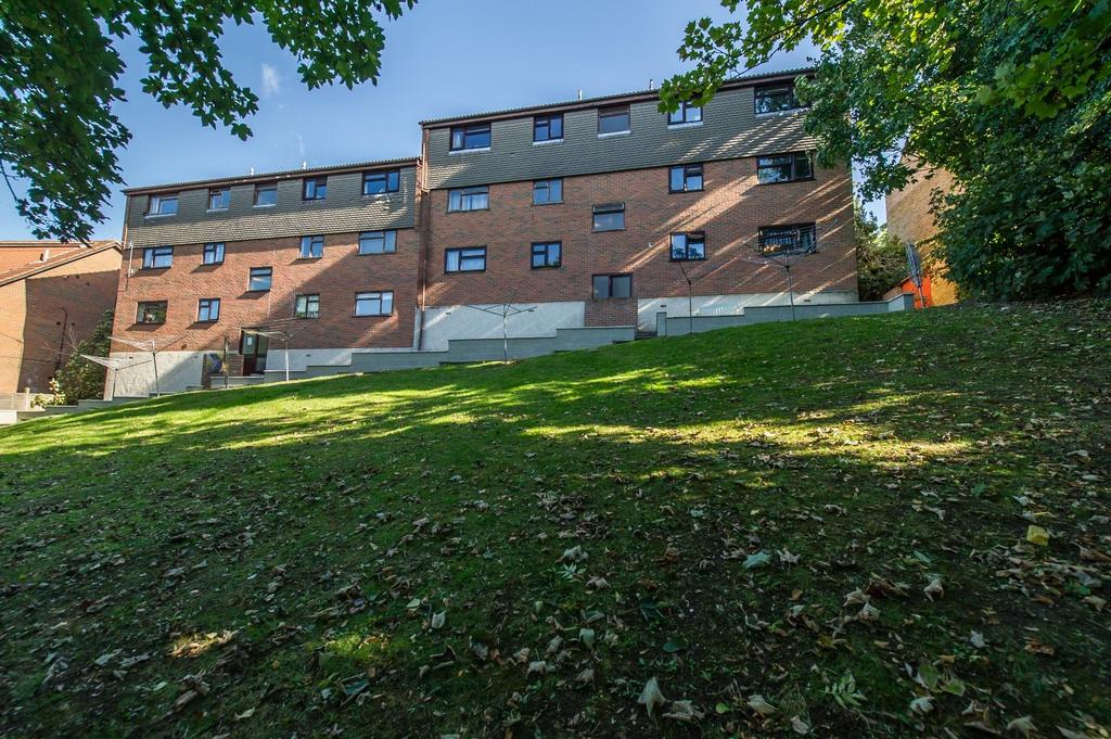 Rear Elevation &amp; Grounds