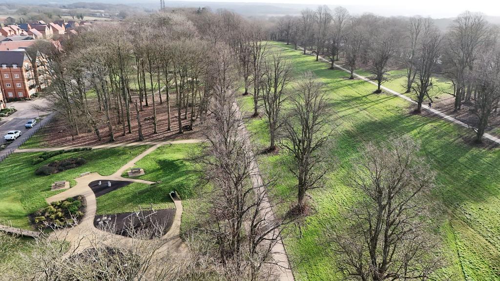 Dji fly 20250121 010242 0286 1737732082340 photo.J