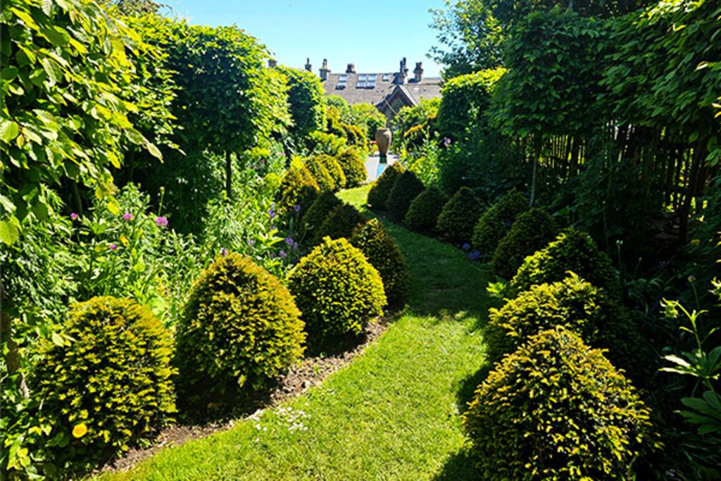 Vendor Garden Photograph
