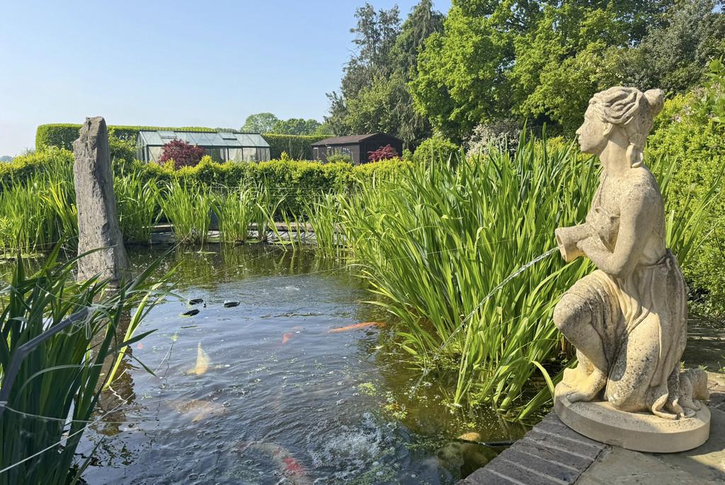 Woodlands New Garden 6