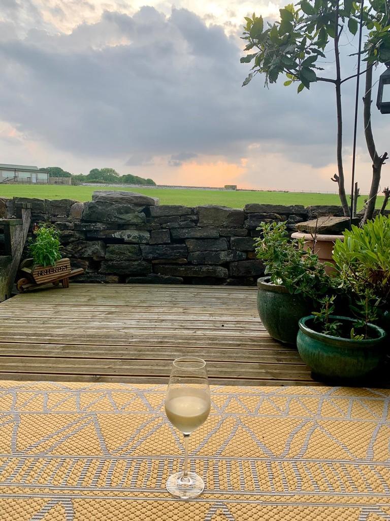 Back garden.