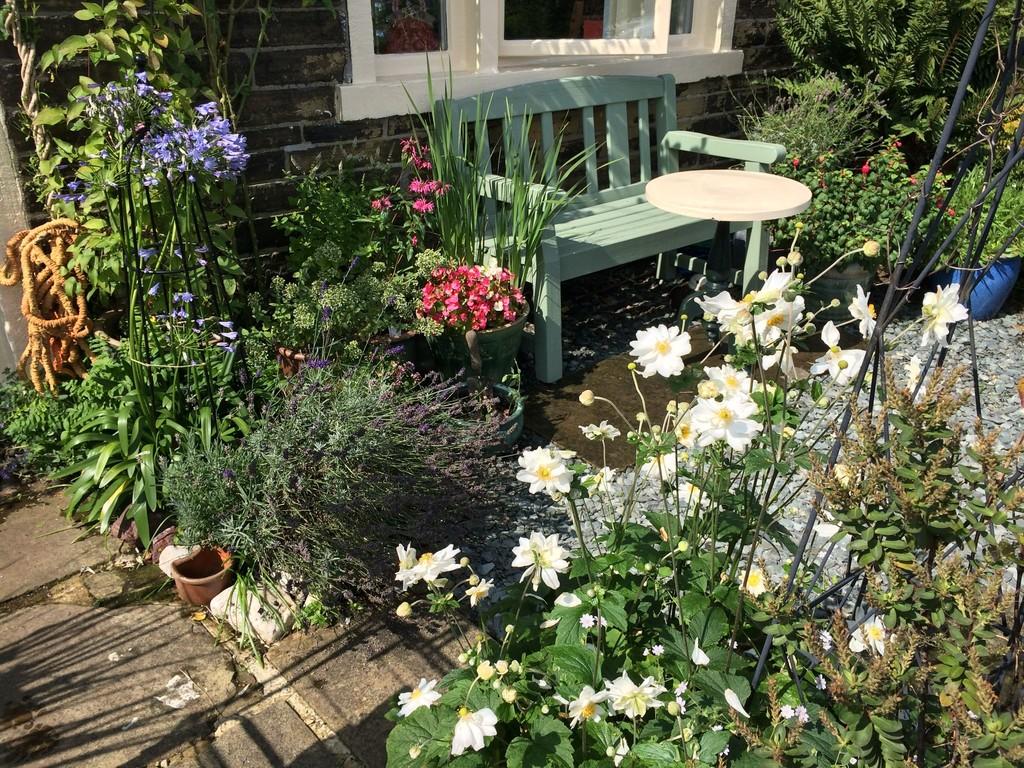 Garden 4