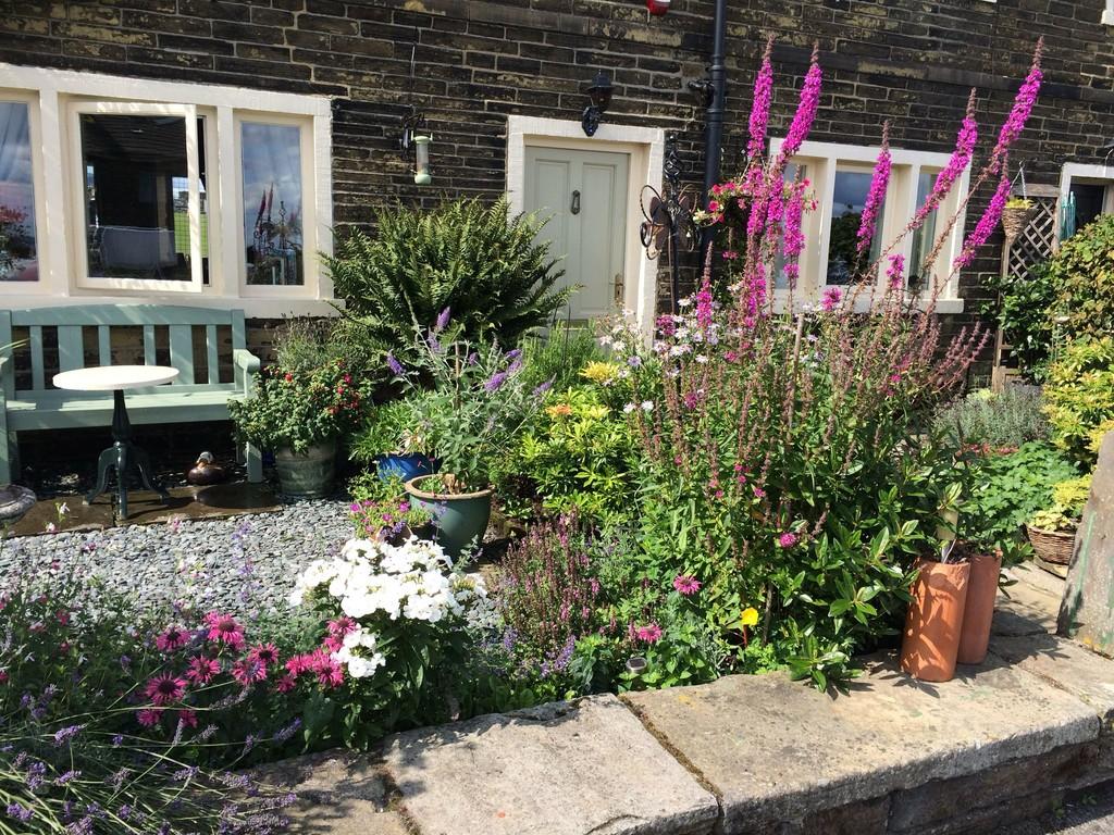 Garden 5