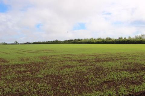 undefined, Two Separate Plots (2A/2B) of 7.33 Acres of Strategic Development Land, Muirdrum by Carnoustie, Angus, DD7 6LE