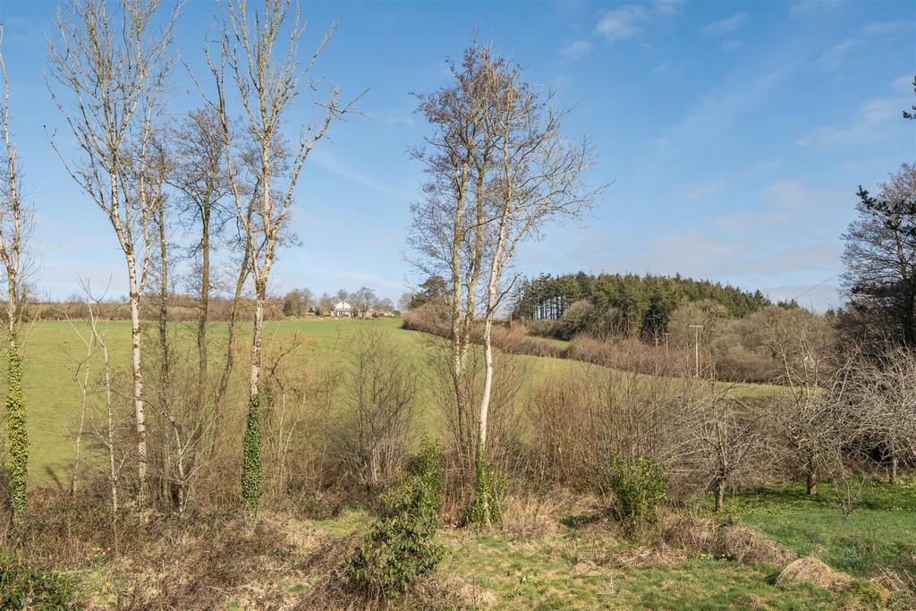 1267568 (22).jpg