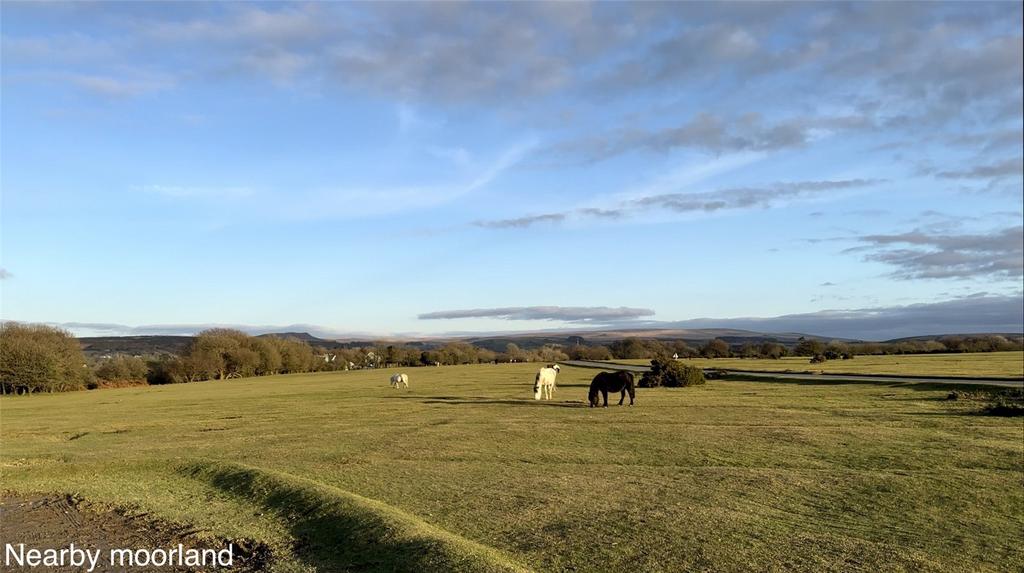 Nearby Moorland